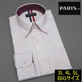 長袖ワイシャツ ライトピンク ドビーチェック ボタンダウン ドゥエボットーニ PARIS-16e ビッグサイズ 大きいサイズ 3L-5L 形態安定 HKP-BIG-ZB