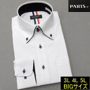 長袖ワイシャツ 白 網柄 ドゥエ ボタンダウン PARIS-16e ビッグサイズ 大きいサイズ 3L-5L 形態安定 HKP-BIG-ZL