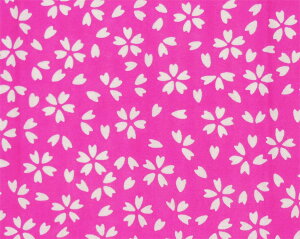 ʂ @ isN×j{[Ăʂ  TN  Ղ }XNn ͂܂ n`}L   z nJ` ^I  Mtg 悳 ] ՗x Cxg D