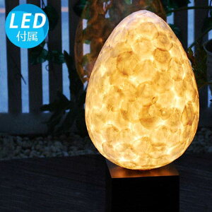 yVF̗zGbO Ɩ AWA CeAƖ ԐڏƖ _ GXjbN  led 킢 R AWAG tACg X^h v AWAeCXg CeA