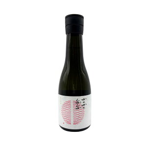 N[|zzIċ  300ml 16x {  v[g Mtg D 蕨  ӎ  Mtg  j {i   