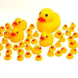 AqƑ@ Ђ̐eq@60 yyΉz