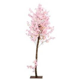 【装飾品　ひな祭り・お花見】天然木桜スタンド