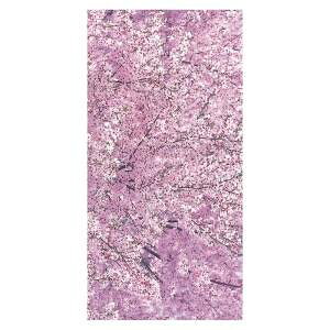 yi@ЂȍՂEԌz^yXg[@J̍