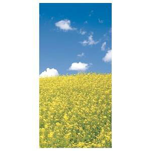 yi@ЂȍՂEԌz^yXg[@NEW؂̉