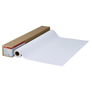 �L���m�� �����R�[�g��HG LFM-CPH/36/145