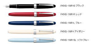 pCbg@NM@CUSTOM NS(JX^NS) FKNS-1MR