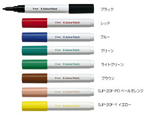 pCbg@}[J[@W[X yCg@׎@SJP-20F