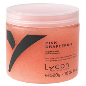 yzCR sNO[vt[cVK[XNu@520g / Lycon