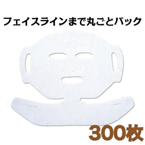 y300zۂƃpbNIZグ/tFCXV[g