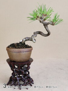 �ԏ� ���i�~�́i��"���O�y�� ���H�["��j���悶��