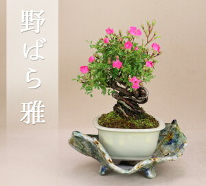 o -  - i~ i4.5pj y悶 ɗ\Hz