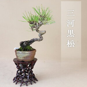 �O�͍��� ���i�~�� ����12�N�i��"���O�y�� ���H�["��j���悶��