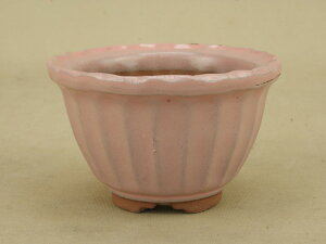 y~͔z ݌Ï sN g۔ a10cm iTCY i悶 ɗ\Hj