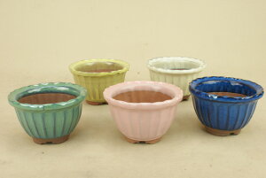 y~͔z ݌Ï g۔ 5FZbg a10cm iTCY i悶 ɗ\Hj