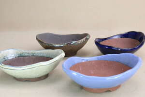 y~͔z ݌Ï D^ 4.5 i悶 ɗ\Hj