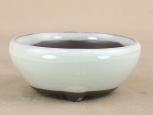 y~͔z ݌Ï S^ ցE ۔ iTCY i~ 悶j