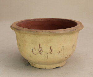 y~͔z 㔫 Vn ֗։Ԕia15cmj悶