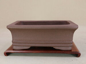 y~͔z xߔ Q ĒiiTCYj y悶 ɗ\Hz