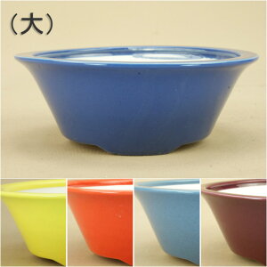 y~͔z  ʐF 傫ڂ̏i Oؑ۔ijia:14.5cmj y悶 ɗ\Hz