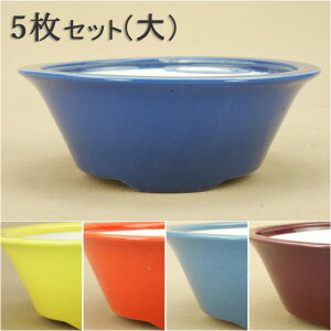 【盆栽鉢】 京焼 彩色 大き目の小品鉢 外縁切足丸鉢(大)5枚セット(口径:14.5cm) 【いよじ園 伊予路園】