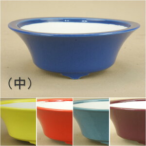 y~͔z  ʐFi ^۔ijia:11.5cmj y悶 ɗ\Hz