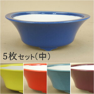 y~͔z  ʐFi ^۔ij5Zbgia:11.5cmj y悶 ɗ\Hz