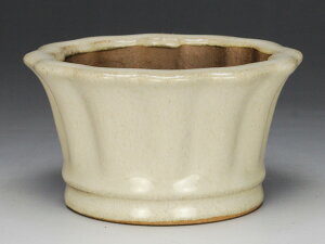 y~͔z z/։Ԕm𒵁n y~j`z