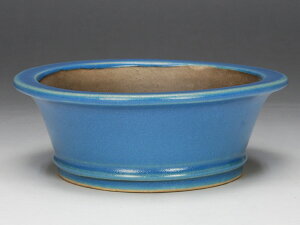 y~͔z z/OR۔mցniɍœKȃTCY y~j`z