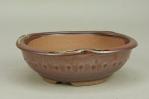 yɗ\Hzy~͔z Ό/etό` yCցzyaF14.5cmzy~j`z