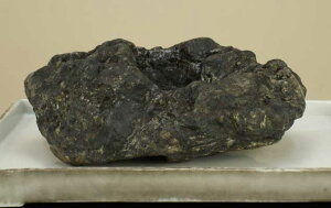 y΁zl\΁i΁ji蕔ꕔRρjmԌF29cm sF22cm F11cmnyzyɗ\Hz