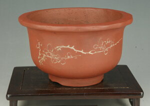 y~͔z 㔫 VnDB~Ԗ։Ԕ yiTCYz