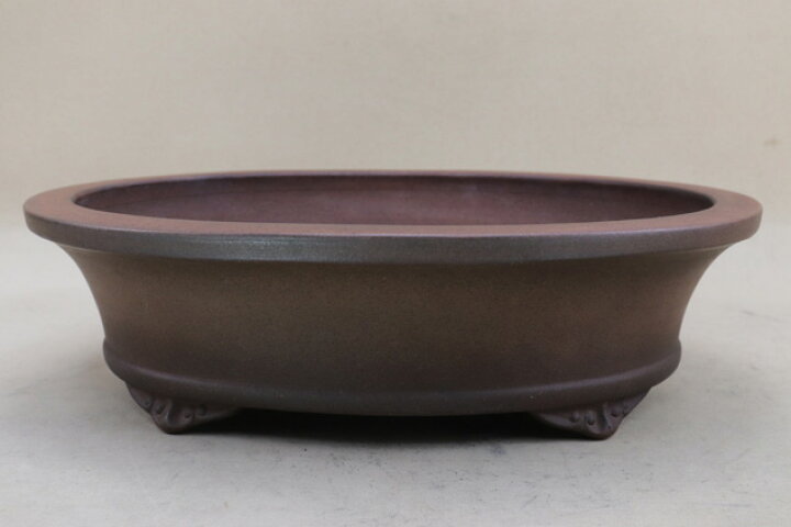 楽天市場】【盆栽鉢】 時代鉢 銭号作 雲足 楕円鉢（無傷 左右33.5cm 