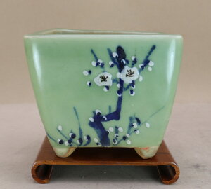 y~͔z 㔫 Ð  ~ i 14.5cmj悶