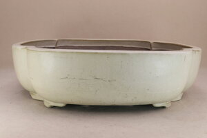 y~͔z 㔫 z ؉Z iE48.2cm zcLj悶