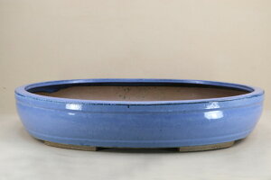 【盆栽鉢】 時代鉢 均釉楕円鉢 超大型 (左右 67.5cm 無傷)いよじ園