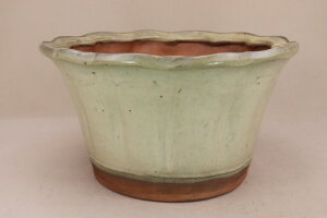 y~͔z 㔫  ։Ԕi^TCY a35.5cm փnQLj悶