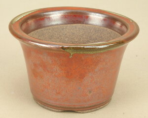 yɗ\Hzy~͔z Ό/O[۔ yCցzyaF12cmzy~j`z