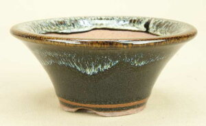 yɗ\Hzy~͔z Ό/w}艏۔iClցjyiTCYz yaF10.5cm F4.7cmz