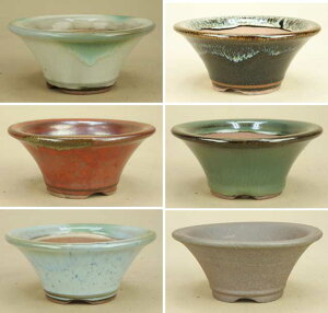 yɗ\Hzy~͔z Ό/w}艏۔ 6FZbgyiTCYzyaF10.5cm F4.7cmz