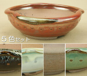 yɗ\Hz Ό/etό`/5FZbg/傫ڂ̏iTCY