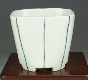 y~͔z u [~Tq] ۊcȖp[ yӁF8cmzyɗ\Hzy~j`z