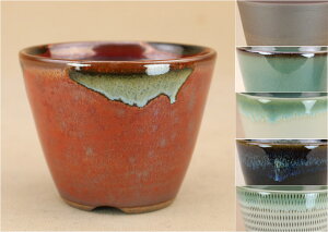 y~͔z Ό ؗ[۔ia8.8cmj i~ 悶j