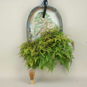 草物盆栽 盆栽 植木の人気商品 通販 価格比較 価格 Com