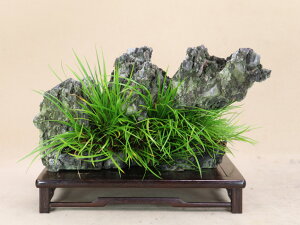 i~ ΕtjPΏҁiK΁j悶