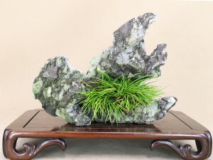 i~ ΕtjPΏҁiK΁j悶