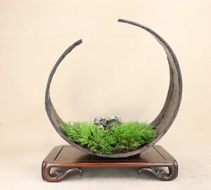 i~́jPΏҁiؕς蔫j悶