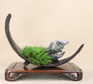 i~́jPΏҁiؕς蔫j悶