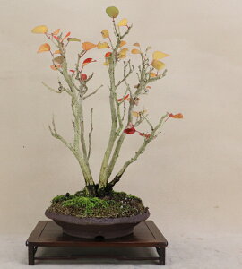 y n}{E / lp zAii~́j yGؖ~́zy悶 ɗ\Hz