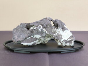 【水石】 龍眼石 【水槽レイアウト テラリウム アクアリウム】盆栽いよじ園